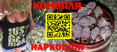 амф Сланцы