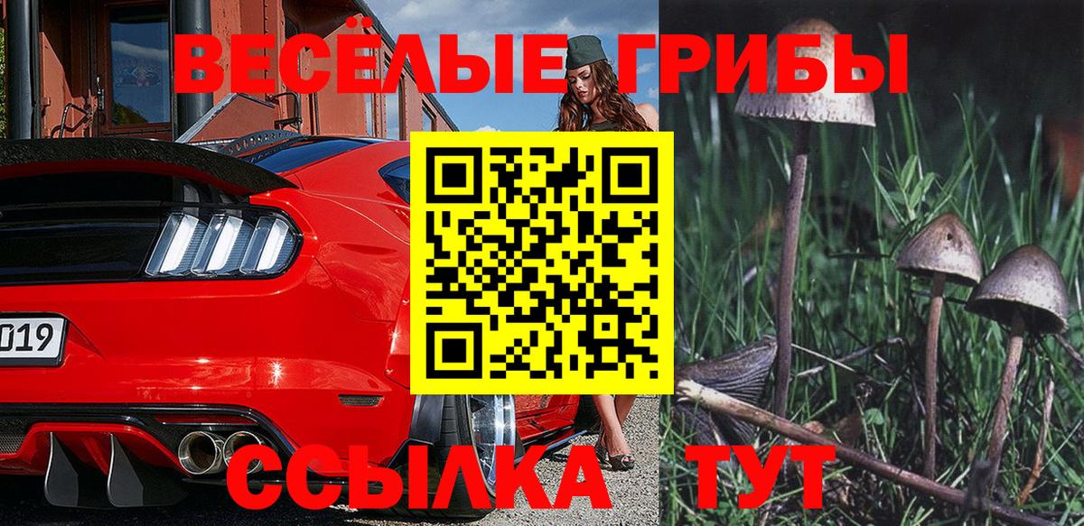 Галлюциногенные грибы Psilocybine cubensis  Галлюциногенные грибы Cubensis  Карпинск  Вход с VPN 